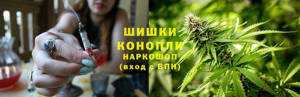 гашик Горнозаводск