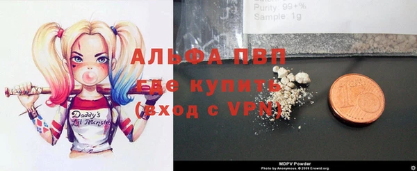 прущие грибы Волоколамск