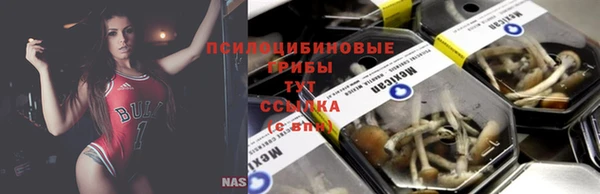 прущая мука Горняк