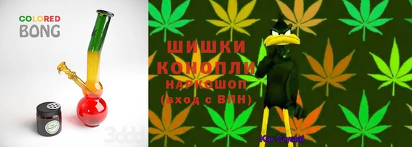 прущая мука Горняк