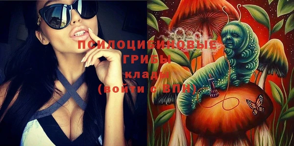 прущая мука Горняк