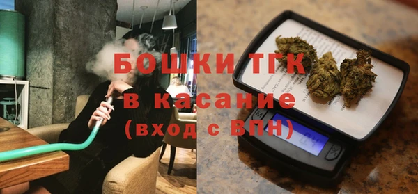 гашик Горнозаводск