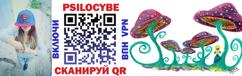 закладка  Нахабино  Псилоцибиновые грибы Magic Shrooms 